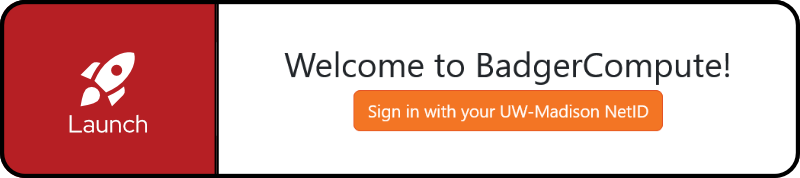 Log in an launch BadgerCompute