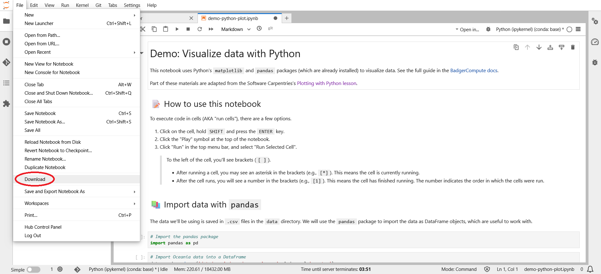 The File menu with the download buttton highlighted.